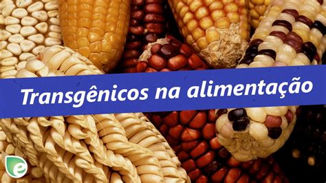 Polêmicas sobre transgênicos na alimentação YouTube