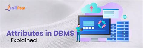 What Is An Attribute In Dbms Different Types Explained