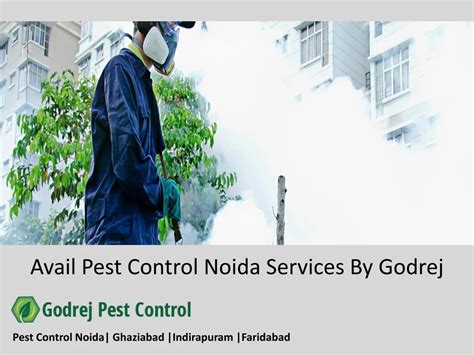 Ppt Avail Pest Control Noida Services By Godrej Powerpoint