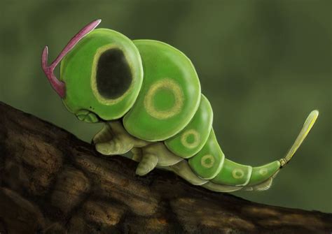 Caterpie By JoshuaDunlop Pokemon Pokedex Creepy Pokemon Pokemon In