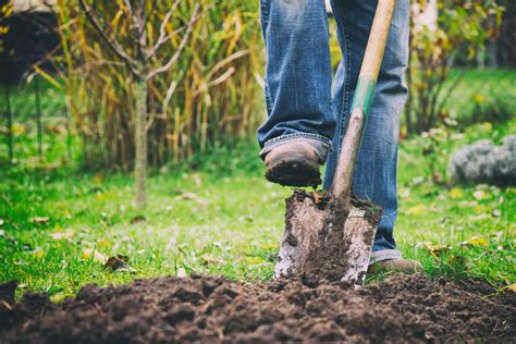 Tools Used For Digging The Soil