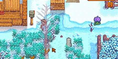 How To Get A Pet Turtle In Stardew Valley