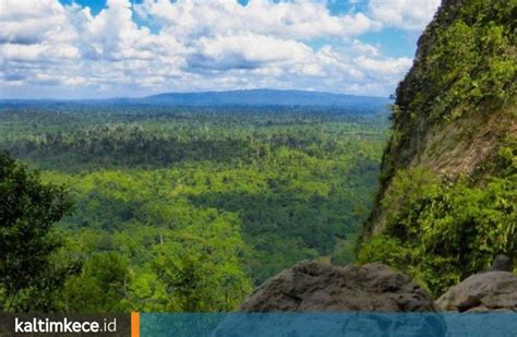Pemanfaatan Lahan Nonkehutanan, UNDP dan KalFor Fokus Tingkatkan ...