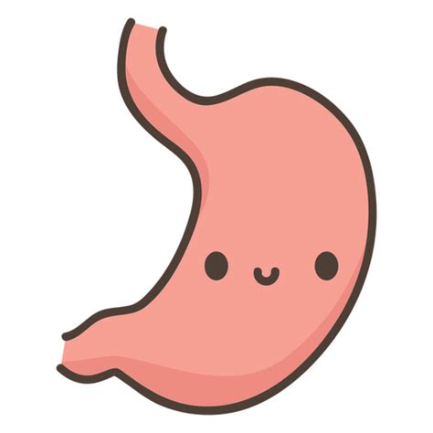 Human Body Stomach Organ Png Design Stomach Drawing Human Bones Stomach