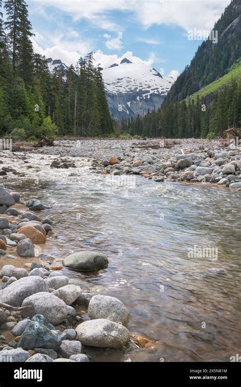 View of Icy Peak and Nooksack River from Nooksack Cirque Trail, North ...