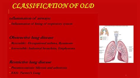 Occupational Lung Diseases Ppt Download