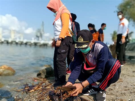 Ksop Teluk Palu Gelar Aksi Bersih Laut Jelang Harhubnas Brita Id