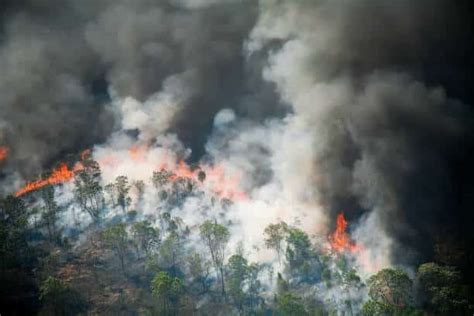 Incendios Forestales En Latinoamérica Una Problemática Que Preocupa A