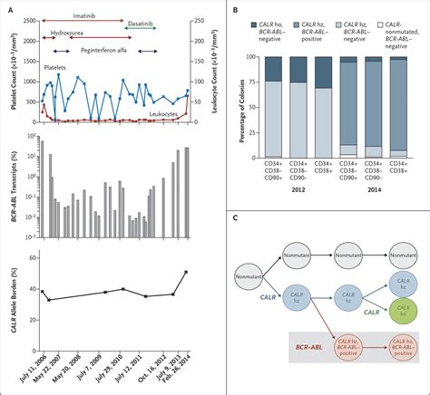 A Calr Mutation Preceding Bcr Abl1 In An Atypical Myeloproliferative Neoplasm New England