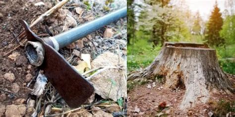 What is a Mattock Tool – What it is Used for?