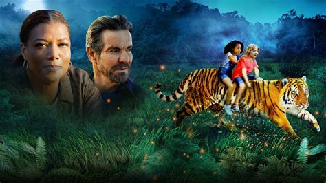 Le Tigre Et L Enfant Film Senscritique