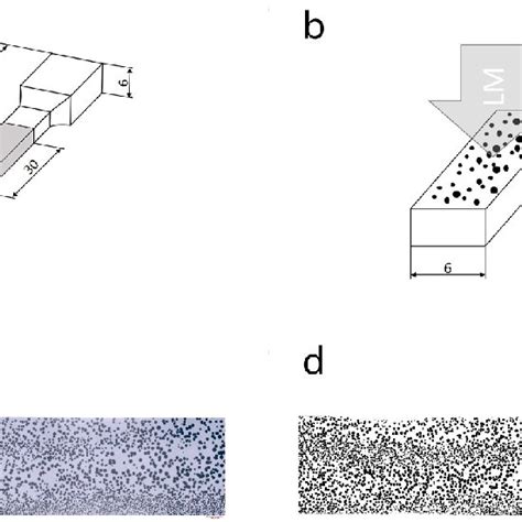 A Detailed Illustration Of Morphological Characterization Process A Download Scientific