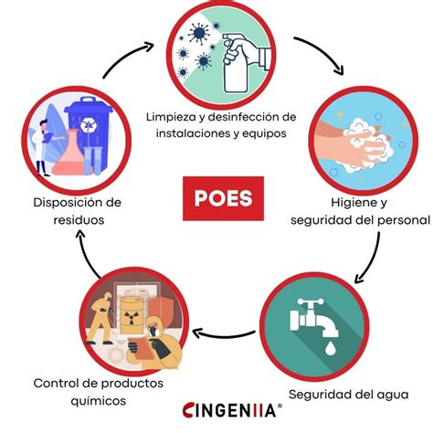 Poes Pr Cticas Y Procedimientos Para Elaborar Alimentos Ingeniia