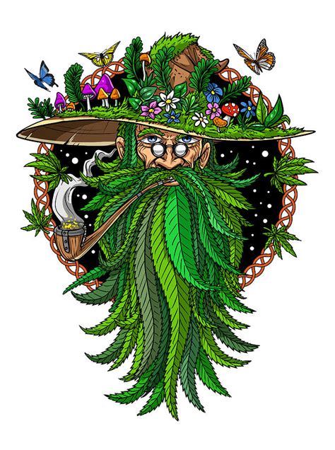 Weed Shaman Wizard Digital Art by Nikolay Todorov