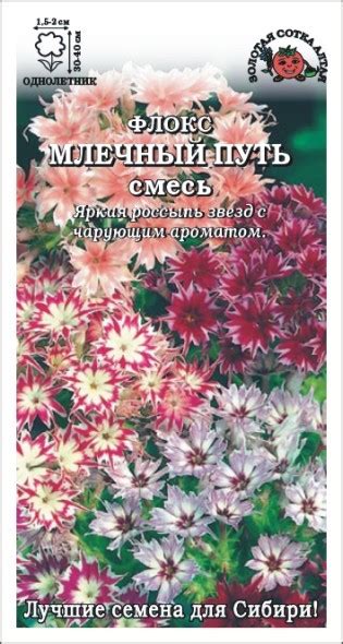 Флокс Звездный Дождь, смесь