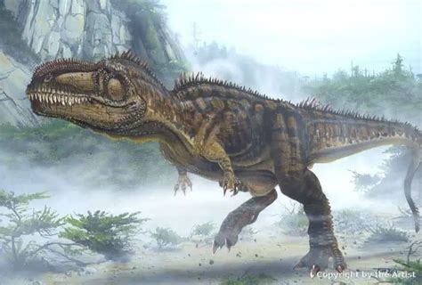 Giganotosaurus Dinosaurs Pictures And Facts