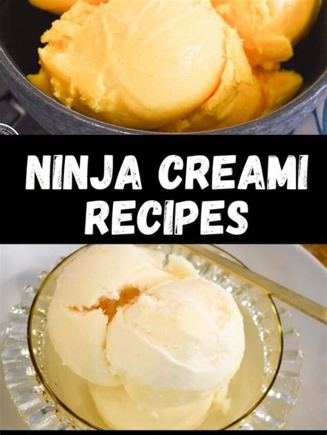 Ninja Creami Recipes The Tasty Travelers™