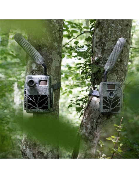 Zeiss Secacam Wildcamera Hunting Europe