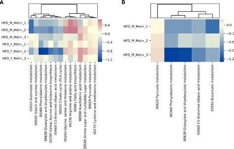 Frontiers Metformin Strongly Affects Gut Microbiome Composition In