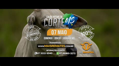 Leil O Virtual Gado De Corte Ms Youtube