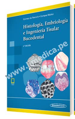 Libro Histolog A Embriolog A E Ingenier A Tisular Bucodental