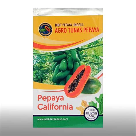 Jual Bibit Benih Pepaya Kalifornia Agro Tunas Pepaya Box Isi