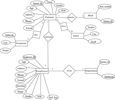 Solved Create A Normalized Entity Relationship NER Diagram Chegg