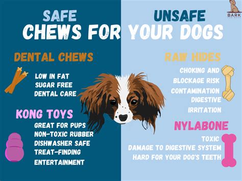 To Chew Or Not To Chew The Ultimate Safe Bones For Dogs Guide Bark