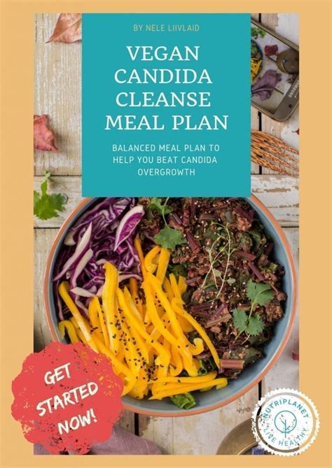 Vegan Candida Diet Meal Plans The Ultimate Bundle Nutriplanet