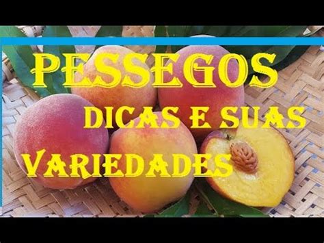 P Ssegos Dicas E Suas Variedades Natureza Online Amantes Da Natureza