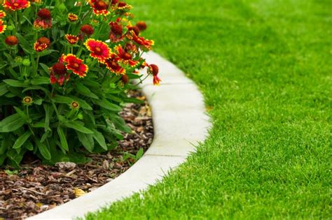 Lawn Edging [The Ultimate Guide for Lawn Edging Tools & Techniques ]