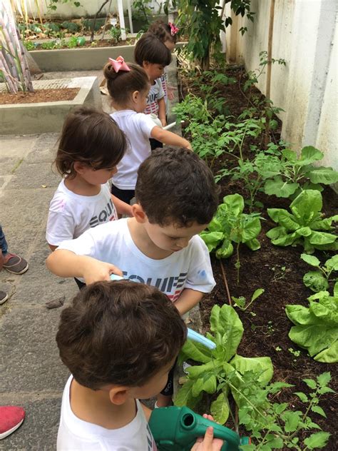 Cuidando Da Horta Atividade Interativa Os Alunos Do Maternal E