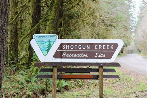 Shotgun Creek Trailhead Hiking In Portland Oregon And Washington