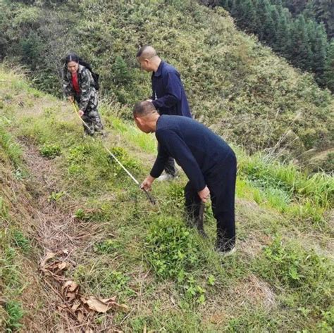 县林业局到忠诚镇检查新一轮退耕还林验收工作项目