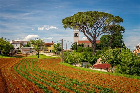 Karojba, Croatia 2023: Best Places to Visit - Tripadvisor