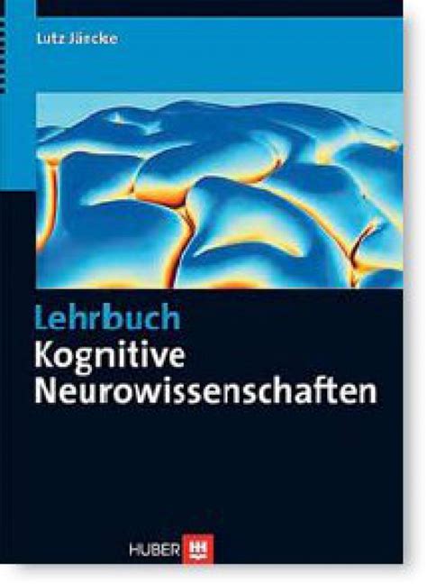 Kognitive Neurowissenschaften Berblick Ohne Notwendige Tiefe