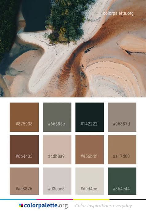 Water Photography Sand Color Palette
