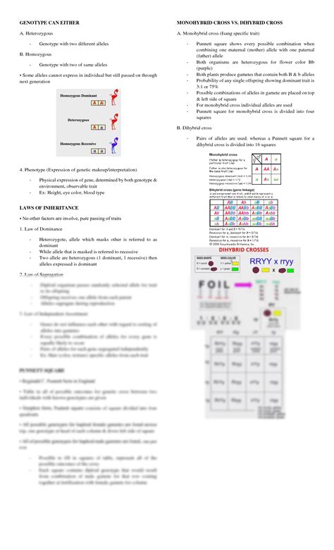 Solution Biology Reviewer Mendelian Genetics Punnett Square Sex Linkage Human Sex Linked