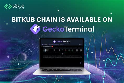 GeckoTerminal On Twitter RT Bitkubchain You Can Now Check The