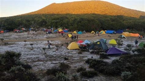 Kemarin Alun Alun Surya Kencana Gunung Gede Seperti Padang Es Suhu