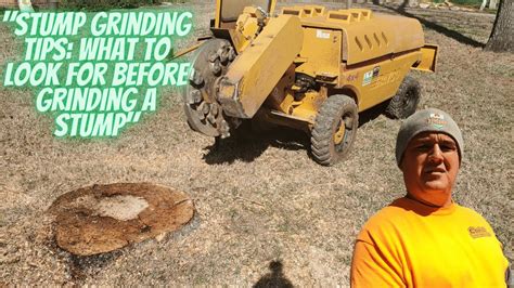 Stump Grinding Tips What To Look For Before Grinding A Stump YouTube