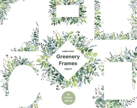 Watercolor Greenery Frames Borders Frame Clipart Green Plants Green