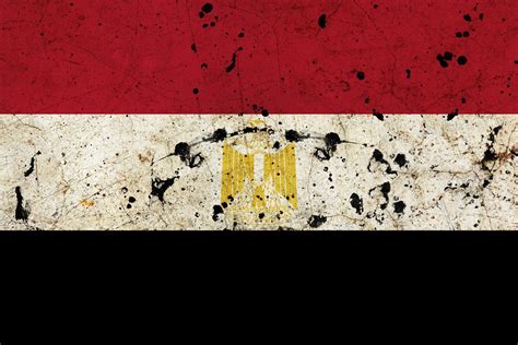 The Egyptian Revolution, Four Years Later