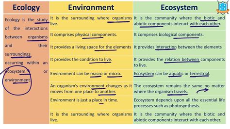 Ecosystem Vs Environment Unveiling The Intricacies Of Nature