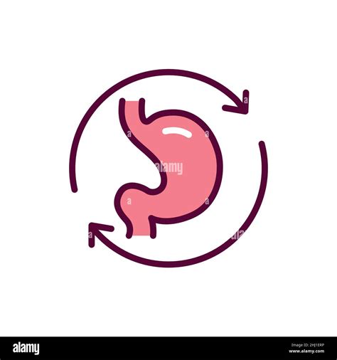 Stomach Transplant Color Line Icon Isolated Vector Element Outline