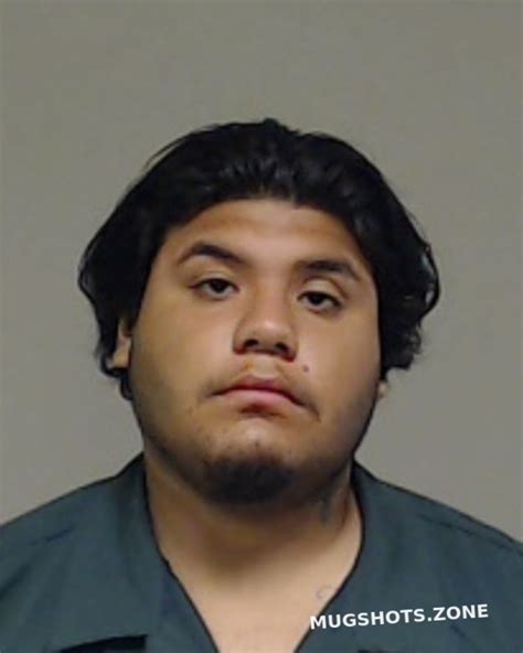 Franco Alvarado Raul Collin County Mugshots Zone