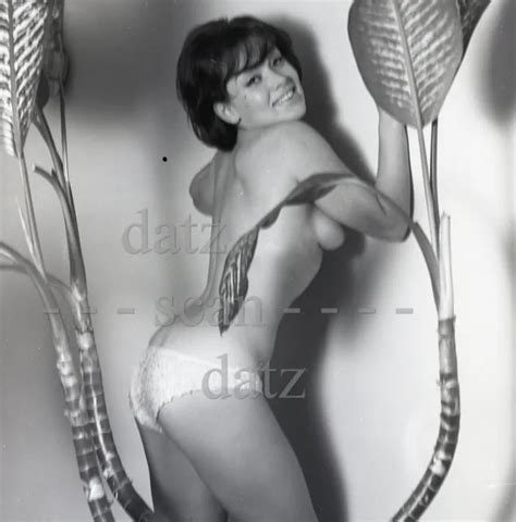 1950S RON VOGEL Negative Nude Brunette Pinup Girl Rita Dennis