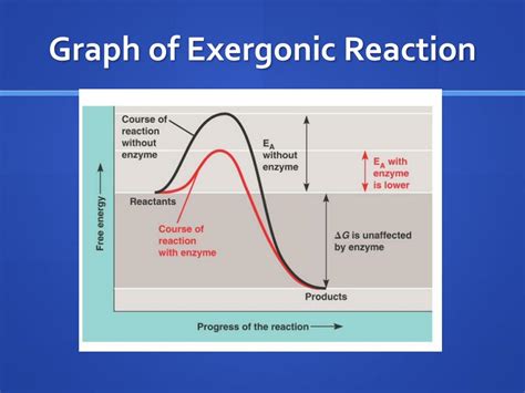 Ppt Chapter 8 Sections 4 And 5 Powerpoint Presentation Free Download Id 3067012