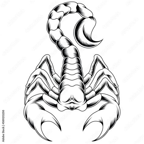 scorpion tattoo style in black and white Stock Vector | Adobe Stock