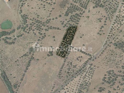 Terreno Agricolo Piazza Sciacca Centuripe Rif